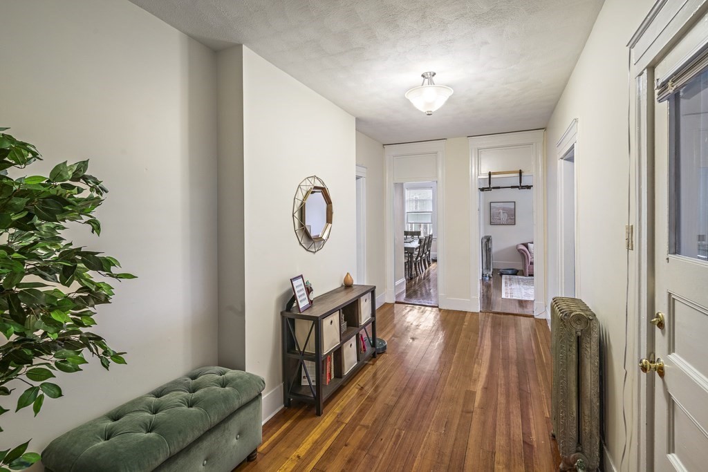 105 Walnut Street Somerville, MA 02145 - Photo 9 of 37 a living room with furniture and a potted plant