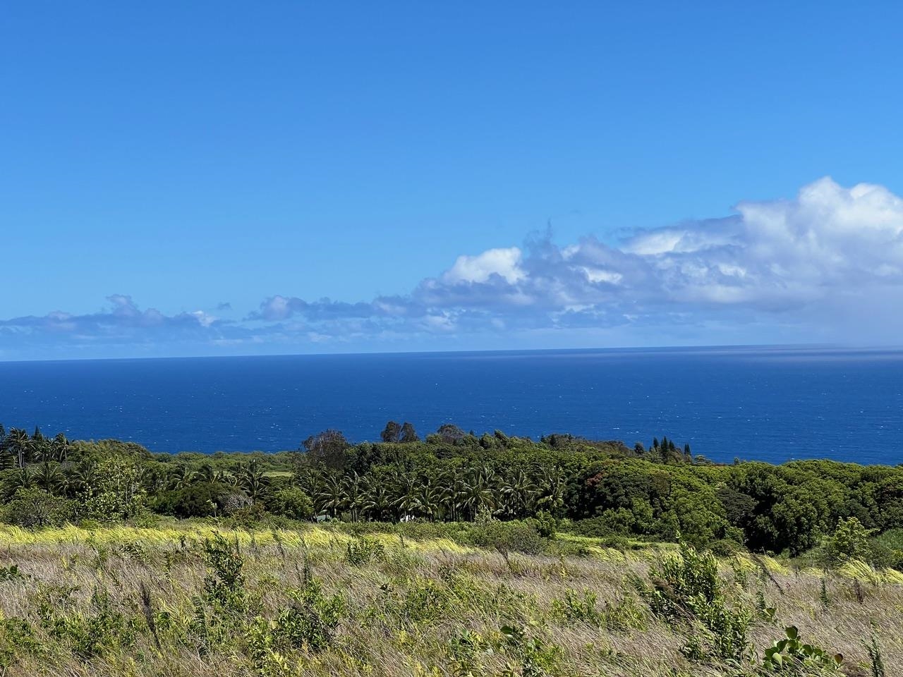 0 Lower Ulumalu Road Haiku, HI 96708 - Photo 11 of 20