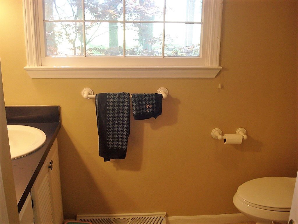 453 South Lincoln Road Mount Pleasant, MI 48858 - Photo 14 of 42 1835822-13.JPG