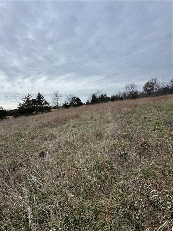 1696 Maple Road Fort Scott, KS 66701 - Photo 11 of 16