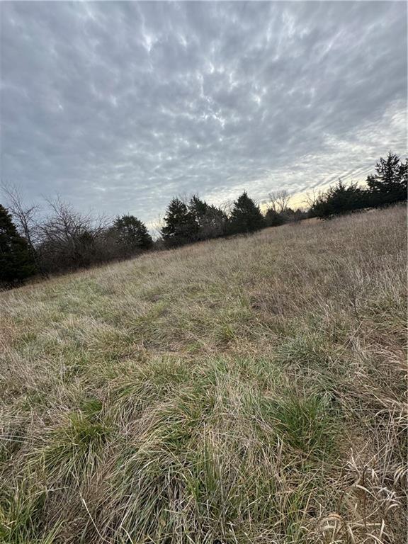 1696 Maple Road Fort Scott, KS 66701 - Photo 12 of 16