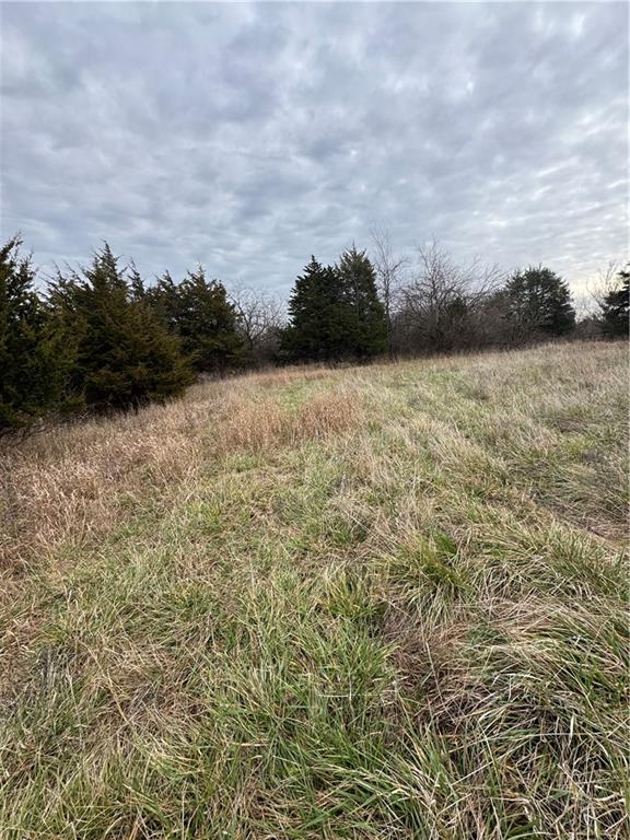 1696 Maple Road Fort Scott, KS 66701 - Photo 14 of 16