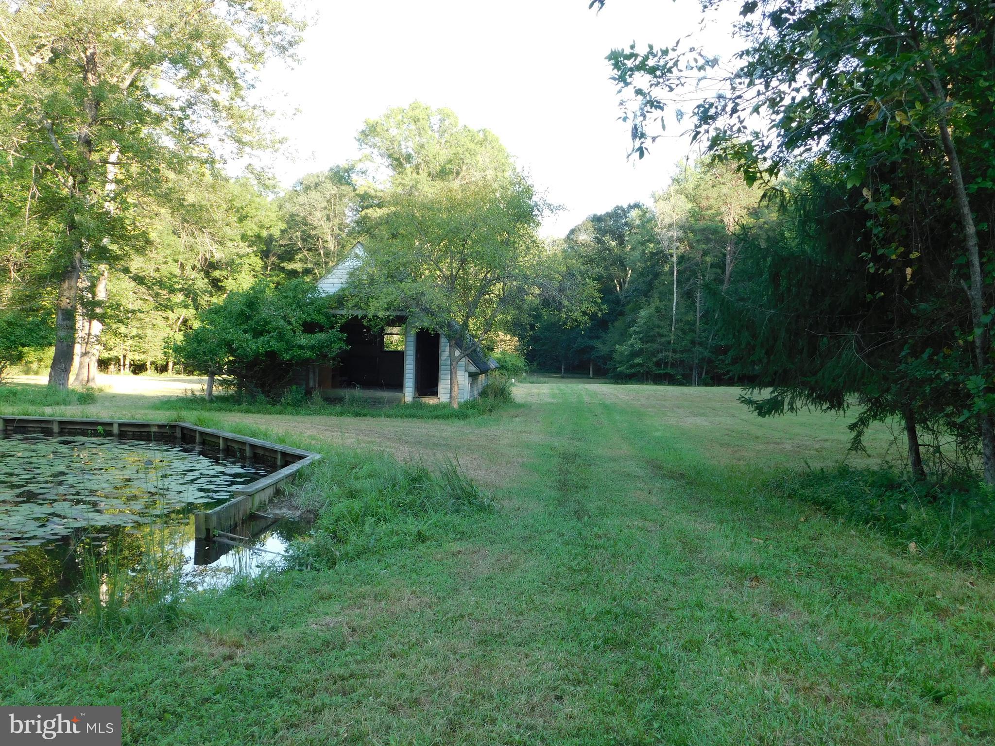 7710 Vermont Road Rhoadesville, VA 22542 - Photo 80 of 92 Road past pond has old chicken coop mower shed