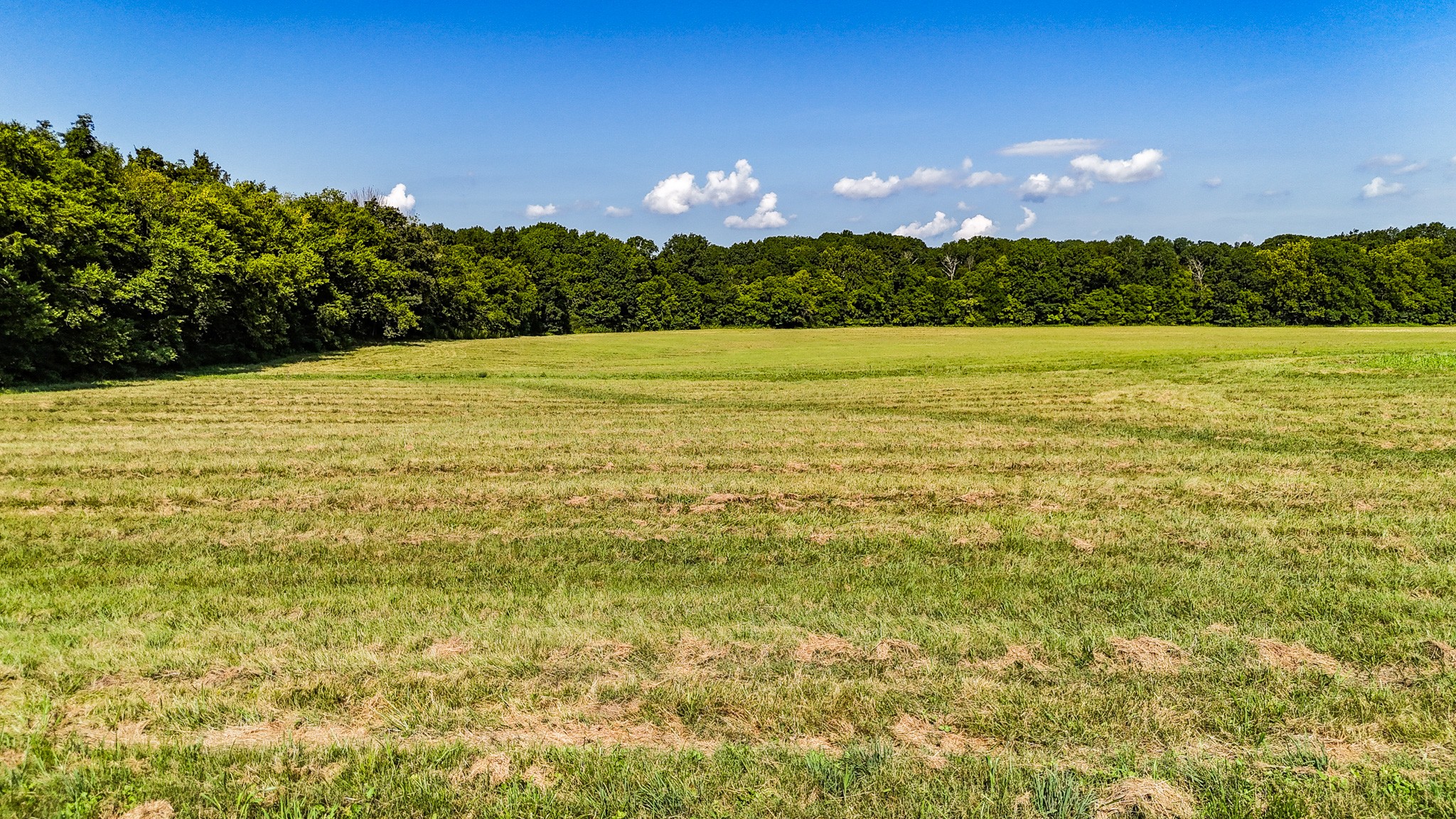 0 Bethlehem Church Road Shelbyville, TN 37160 - Photo 3 of 6
