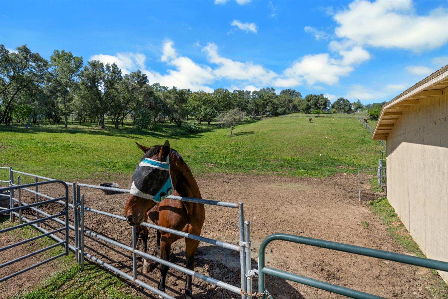 3350 Rattlesnake Road Newcastle, CA 95658 - Photo 3 of 80