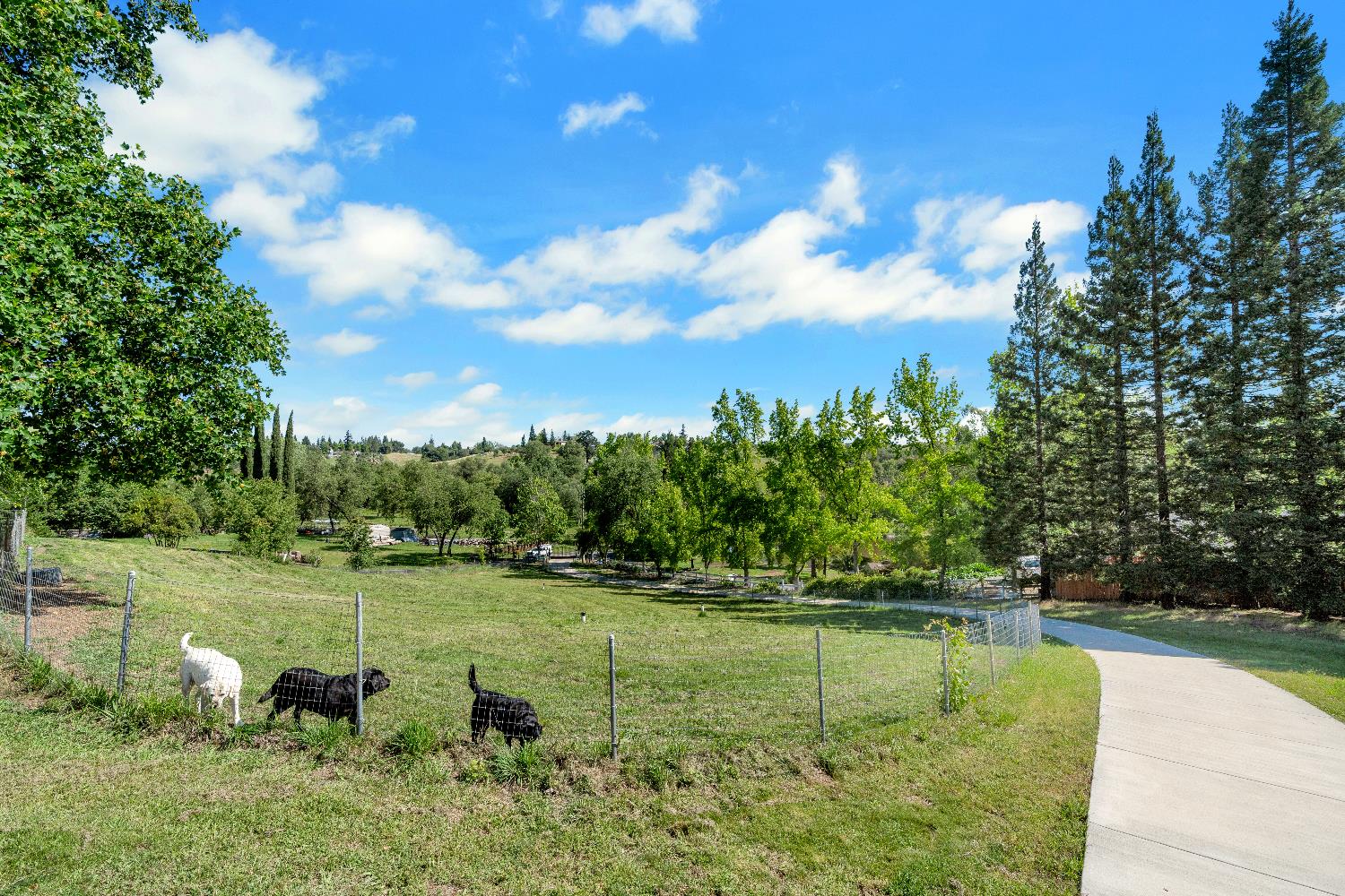 3350 Rattlesnake Road Newcastle, CA 95658 - Photo 4 of 80