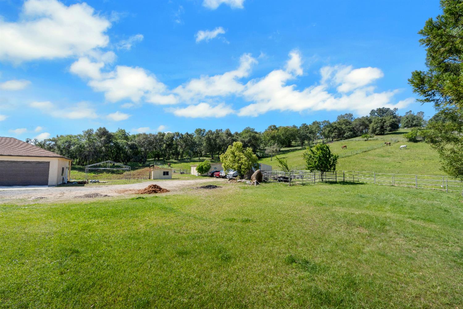3350 Rattlesnake Road Newcastle, CA 95658 - Photo 62 of 80