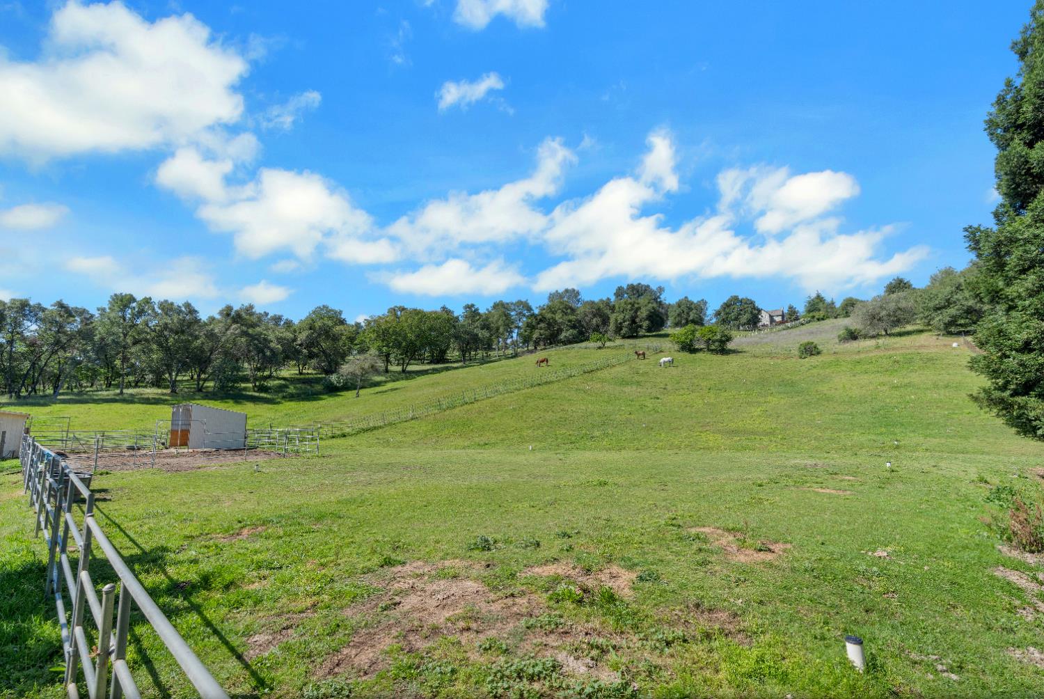 3350 Rattlesnake Road Newcastle, CA 95658 - Photo 68 of 80