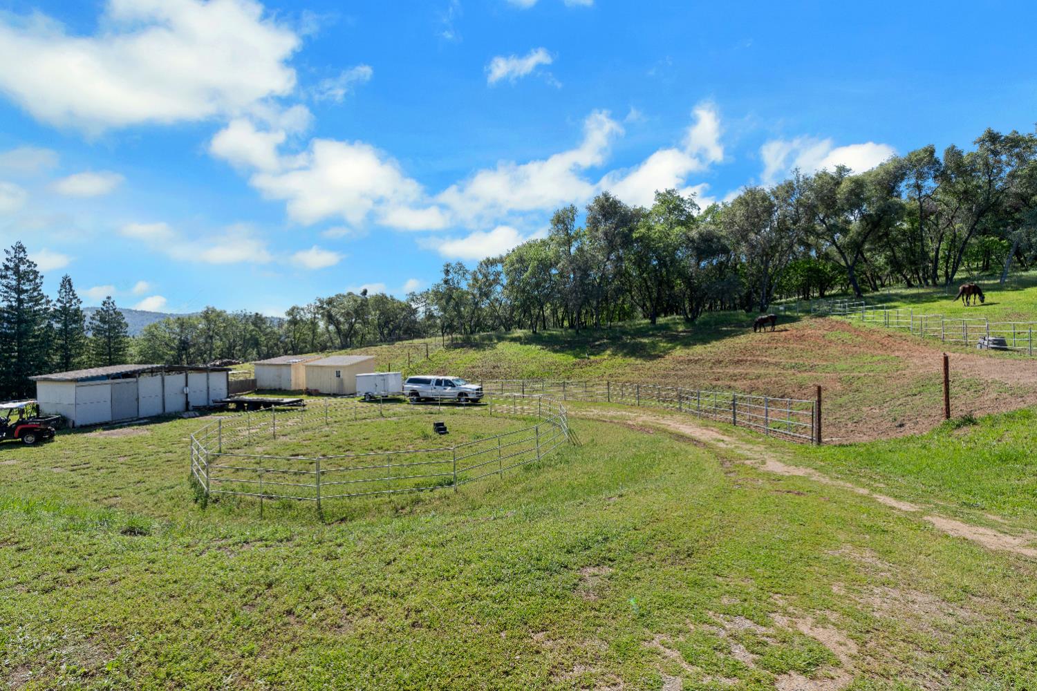 3350 Rattlesnake Road Newcastle, CA 95658 - Photo 76 of 80