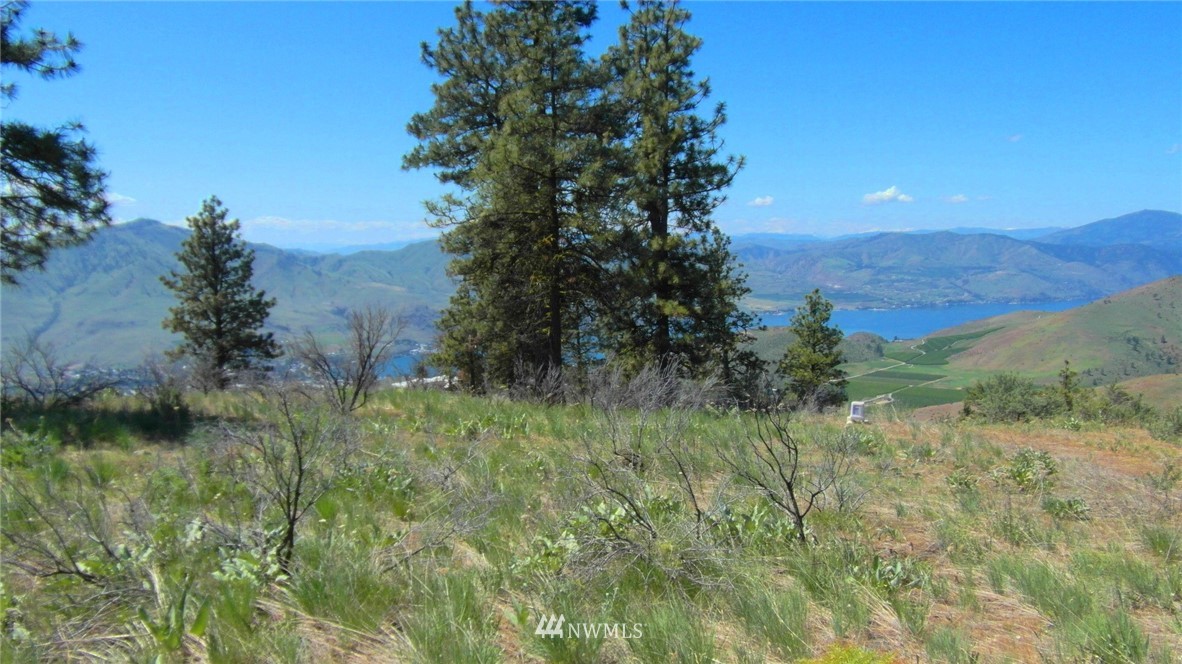 1458 Sunset Ridge Lane Chelan, WA 98816 - Photo 11 of 23 Gallery Image 11