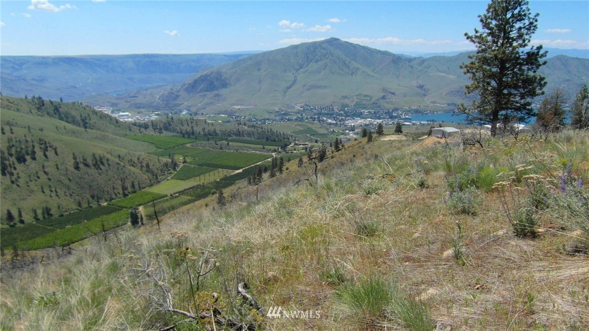 1458 Sunset Ridge Lane Chelan, WA 98816 - Photo 17 of 23 Gallery Image 17