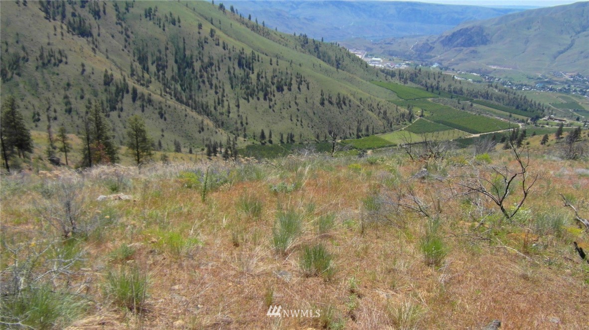 1458 Sunset Ridge Lane Chelan, WA 98816 - Photo 18 of 23 Gallery Image 18