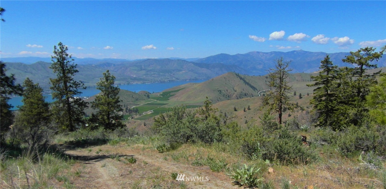 1458 Sunset Ridge Lane Chelan, WA 98816 - Photo 21 of 23 Gallery Image 21
