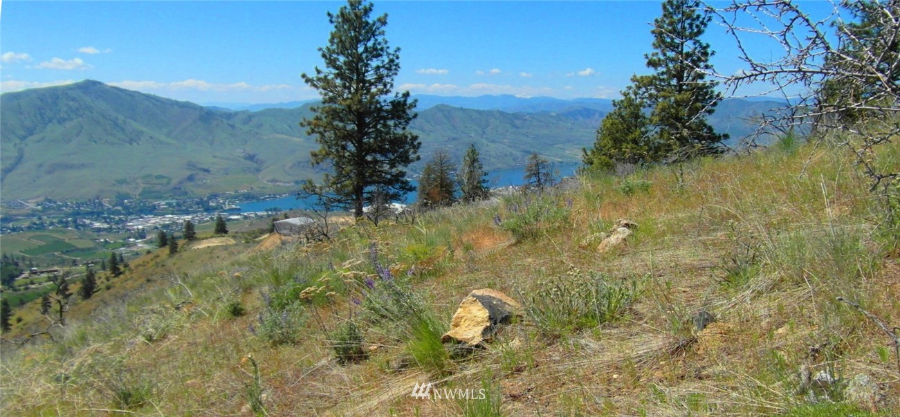 1458 Sunset Ridge Lane Chelan, WA 98816 - Photo 8 of 23 Gallery Image 8