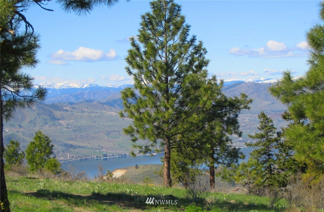 1458 Sunset Ridge Lane Chelan, WA 98816 - Photo 9 of 23 Gallery Image 9