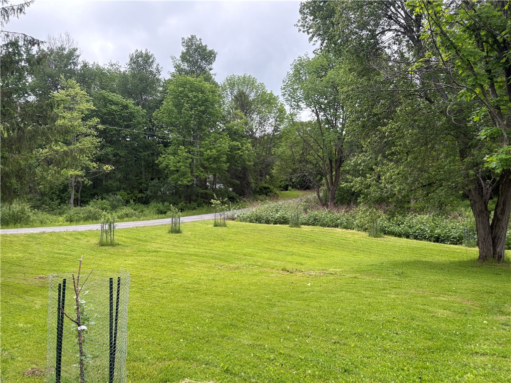 172 Brookins Road North Norwich, NY 13464 - Photo 3 of 29