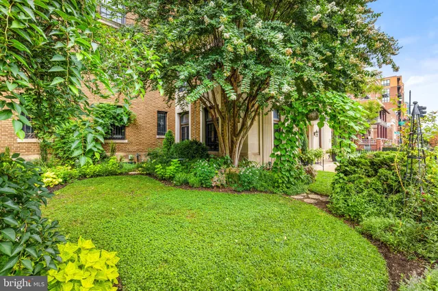 a view of a backyard with potted plants and large trees