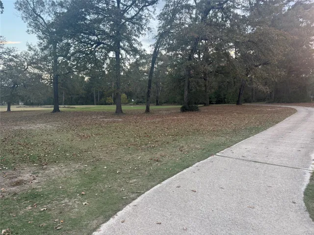 a view of a backyard with large trees
