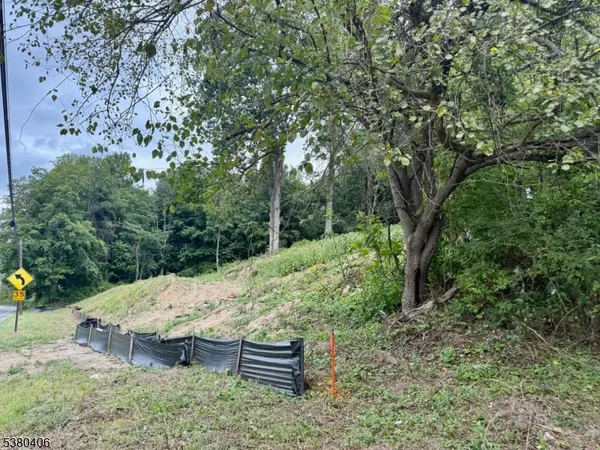 a view of a backyard with large trees
