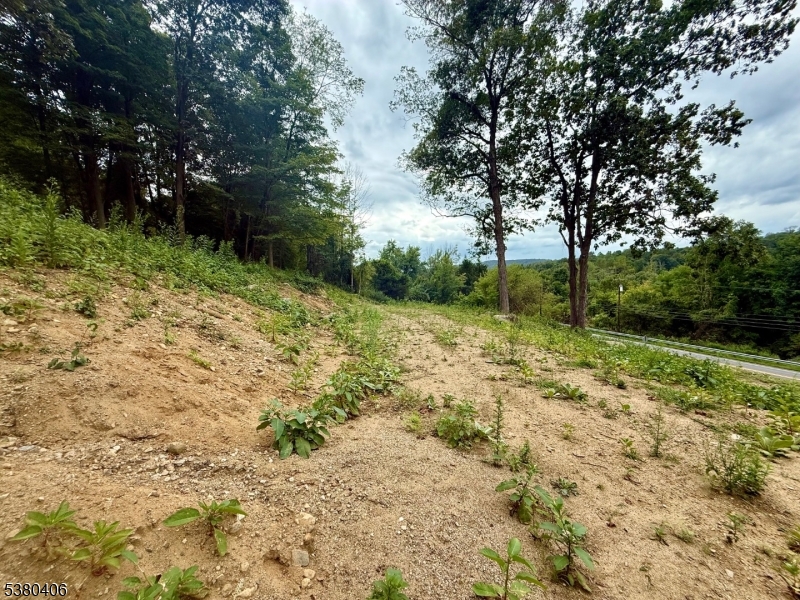 113 Munsonhurst Road Franklin, NJ 07416 - Photo 15 of 16 a view of a yard with trees