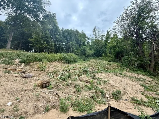 a view of a yard with a tree