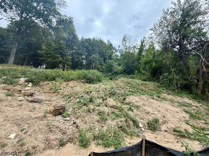 113 Munsonhurst Road Franklin, NJ 07416 - Photo 5 of 16 a view of a yard with a tree