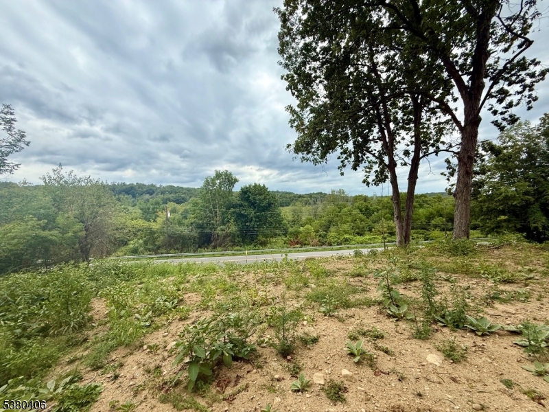 113 Munsonhurst Road Franklin, NJ 07416 - Photo 7 of 16 a big yard with lots of green space