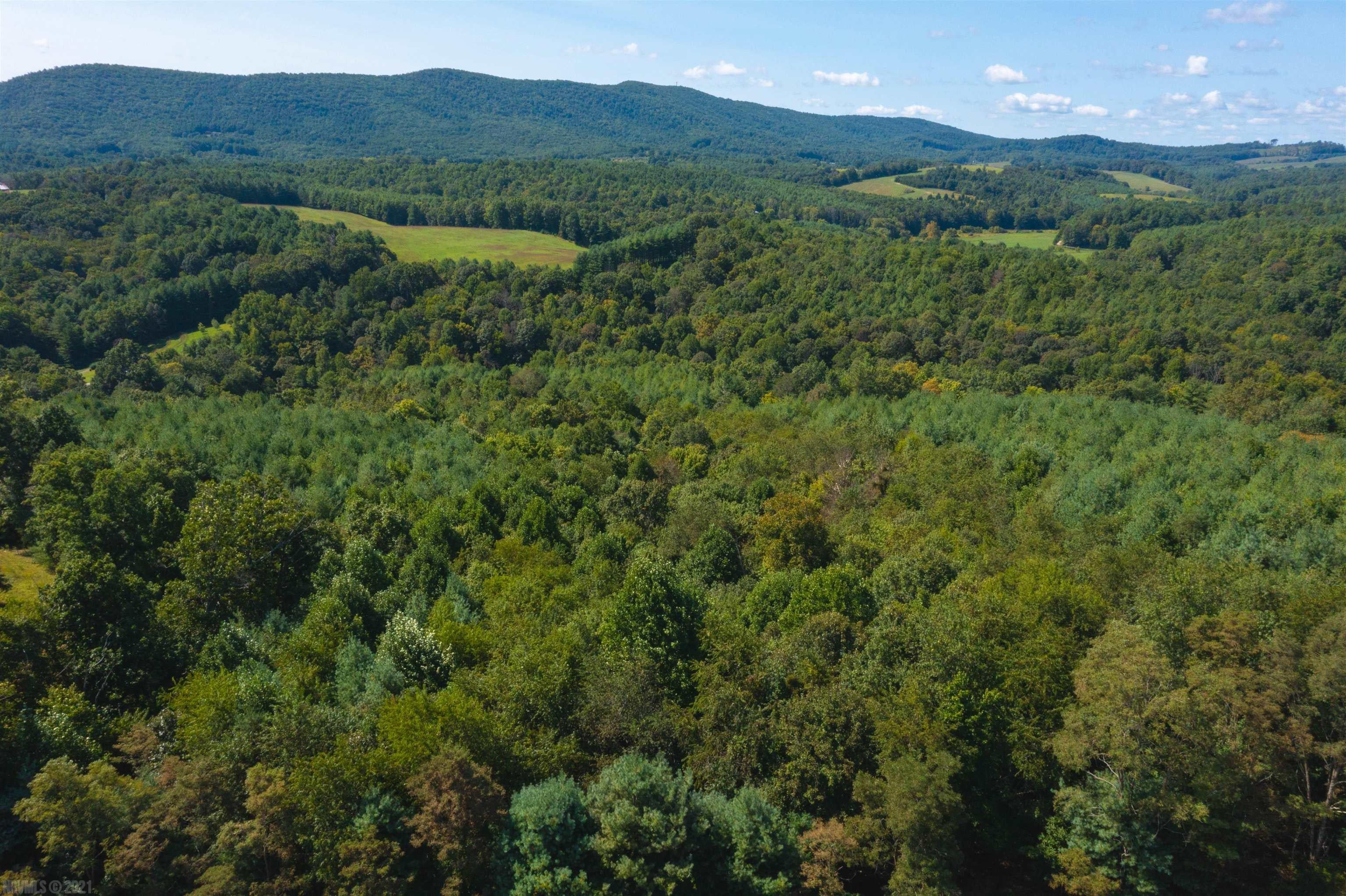 Tbd Beaver Creek Road Northwest Floyd, VA 24091 - Photo 12 of 34 Gallery Image 12