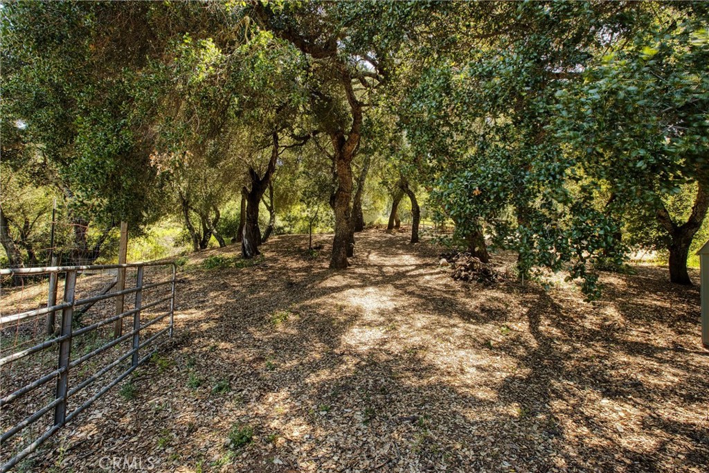 13615 Old Morro Road Atascadero, CA 93422 - Photo 7 of 28