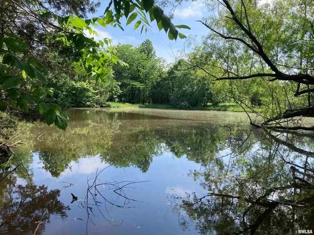 $299,000 | 0 Parrish Ridge Lane, Ozark, IL 62972