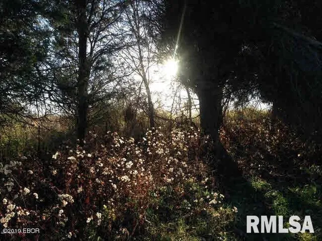 $299,000 | 0 Parrish Ridge Lane, Ozark, IL 62972