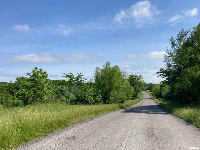 $299,000 | 0 Parrish Ridge Lane, Ozark, IL 62972