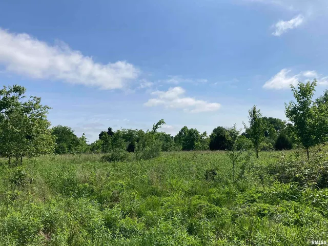 $299,000 | 0 Parrish Ridge Lane, Ozark, IL 62972