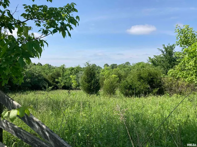 $299,000 | 0 Parrish Ridge Lane, Ozark, IL 62972