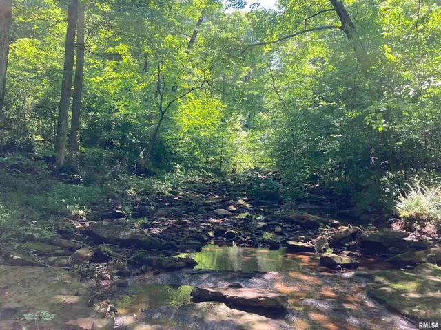 $299,000 | 0 Parrish Ridge Lane, Ozark, IL 62972