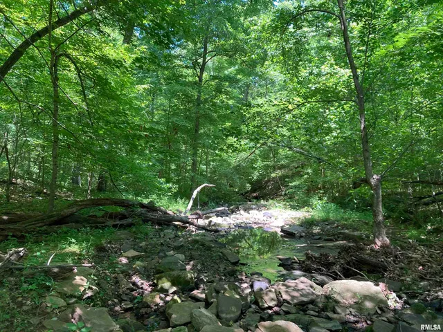 $299,000 | 0 Parrish Ridge Lane, Ozark, IL 62972