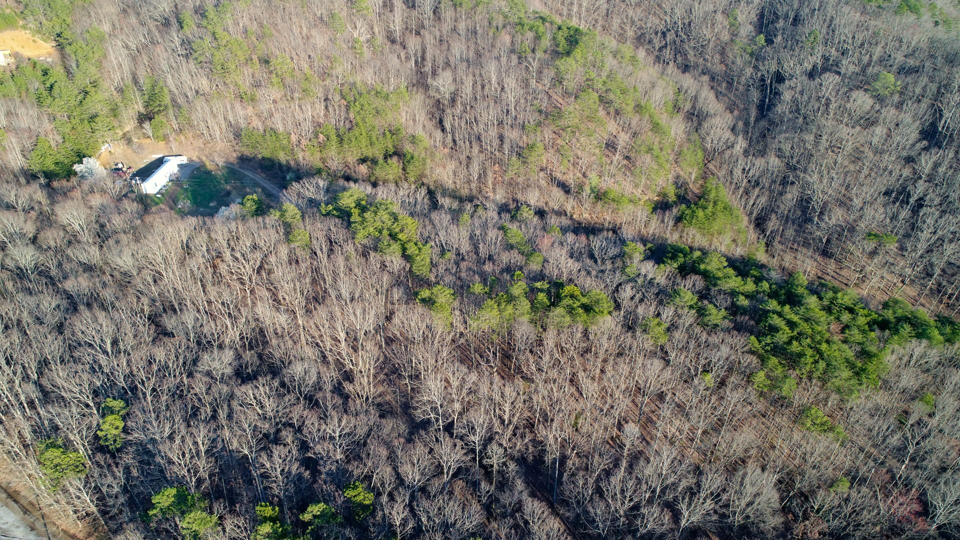 15.88-acre Curry Way Del Rio, TN 37727 - Photo 14 of 29 DJI_0031