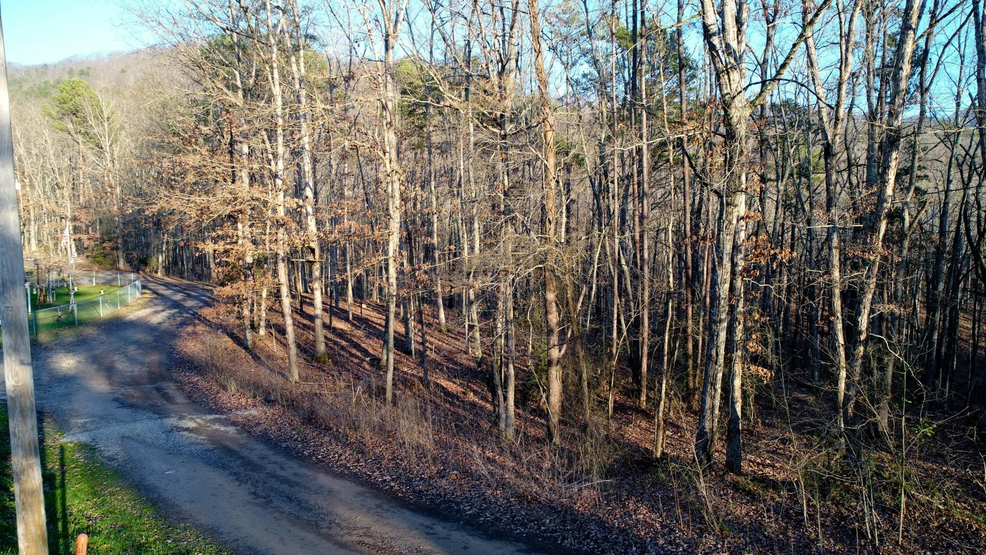 15.88-acre Curry Way Del Rio, TN 37727 - Photo 22 of 29 DJI_0039