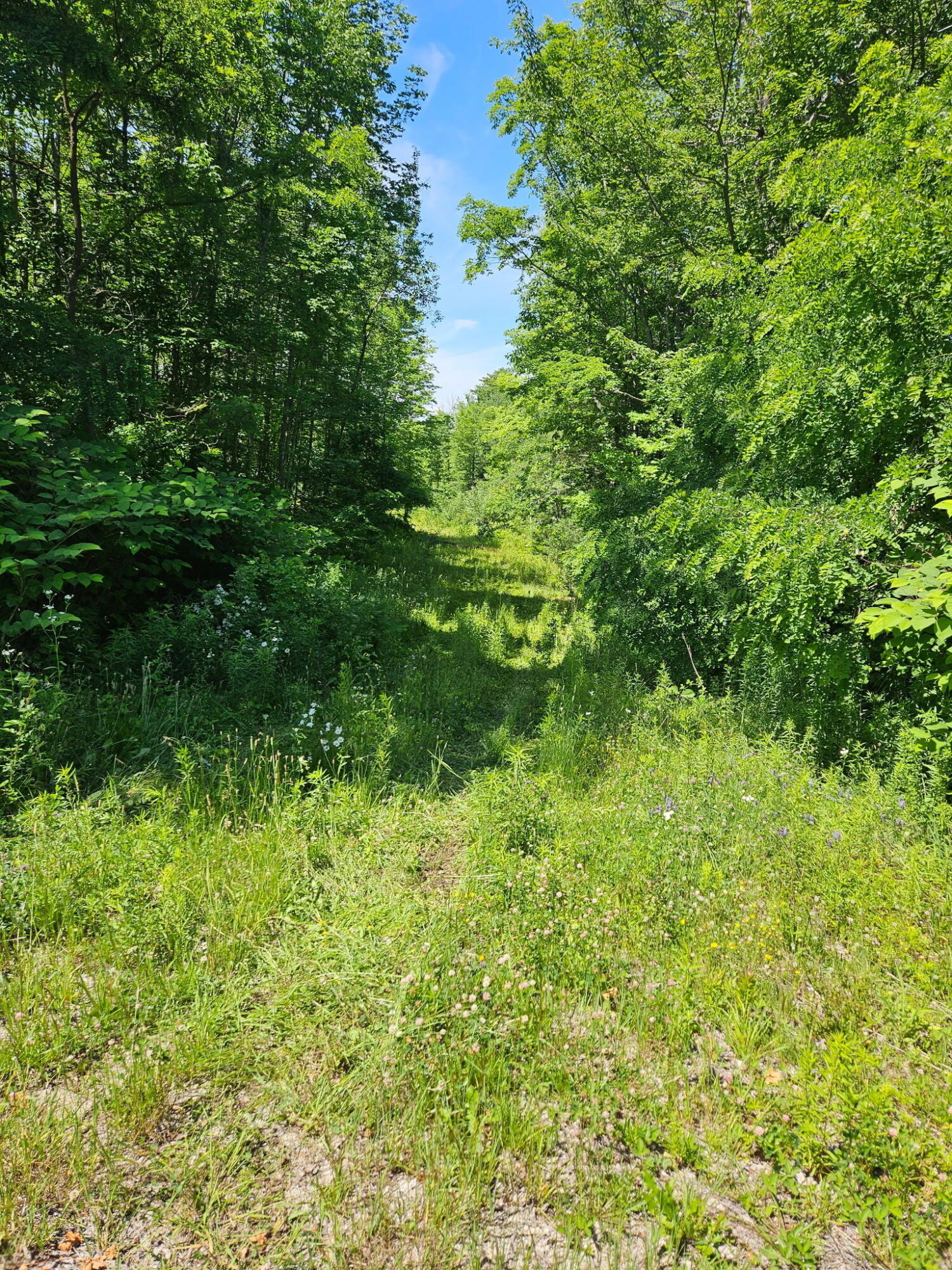 579 Maple Ridge Road Harrison, ME 04040 - Photo 3 of 3 1000006665