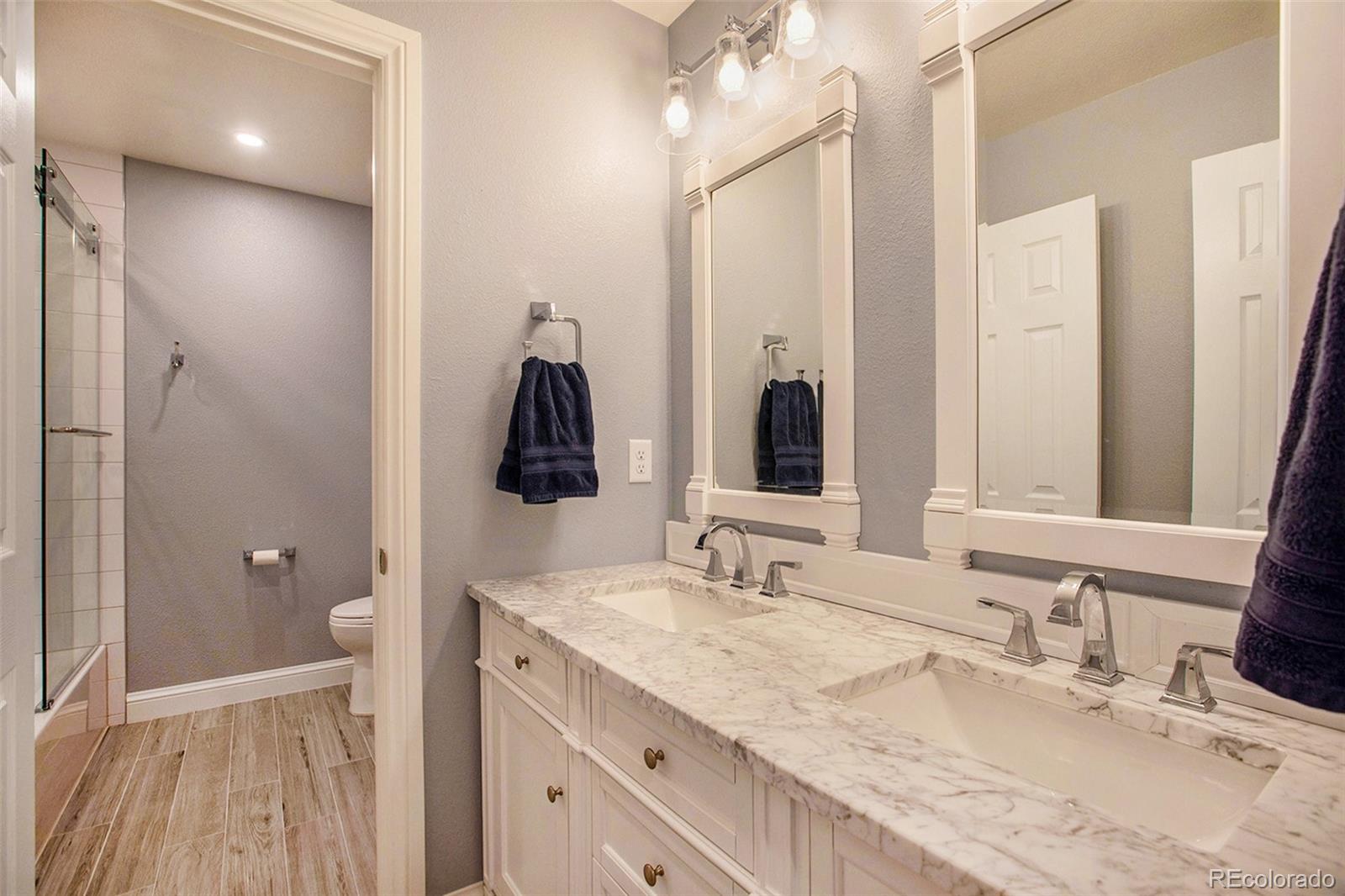 9973 Silver Maple Road Highlands Ranch, CO 80129 - Photo 23 of 37 Gallery Image 23