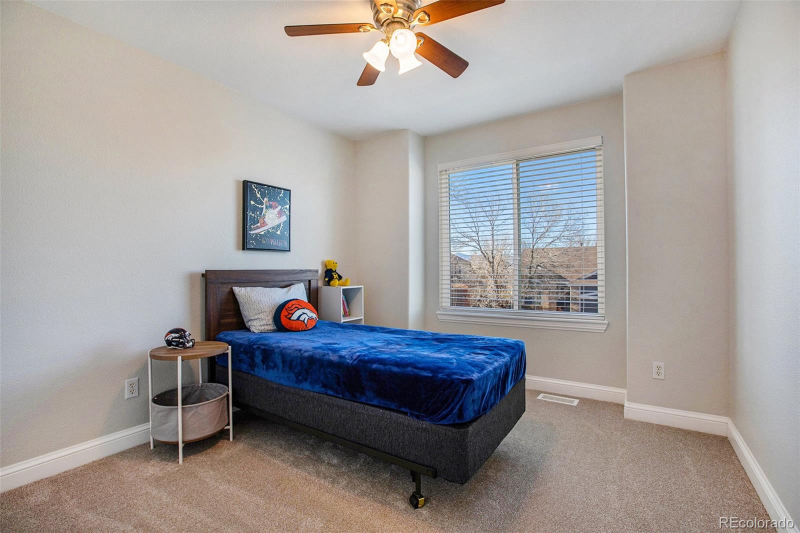 9973 Silver Maple Road Highlands Ranch, CO 80129 - Photo 26 of 37 Gallery Image 26