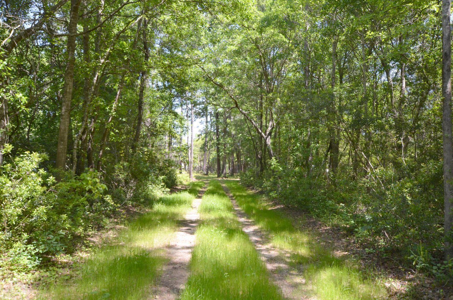 564 Romain Road McClellanville, SC 29458 - Photo 4 of 17 5