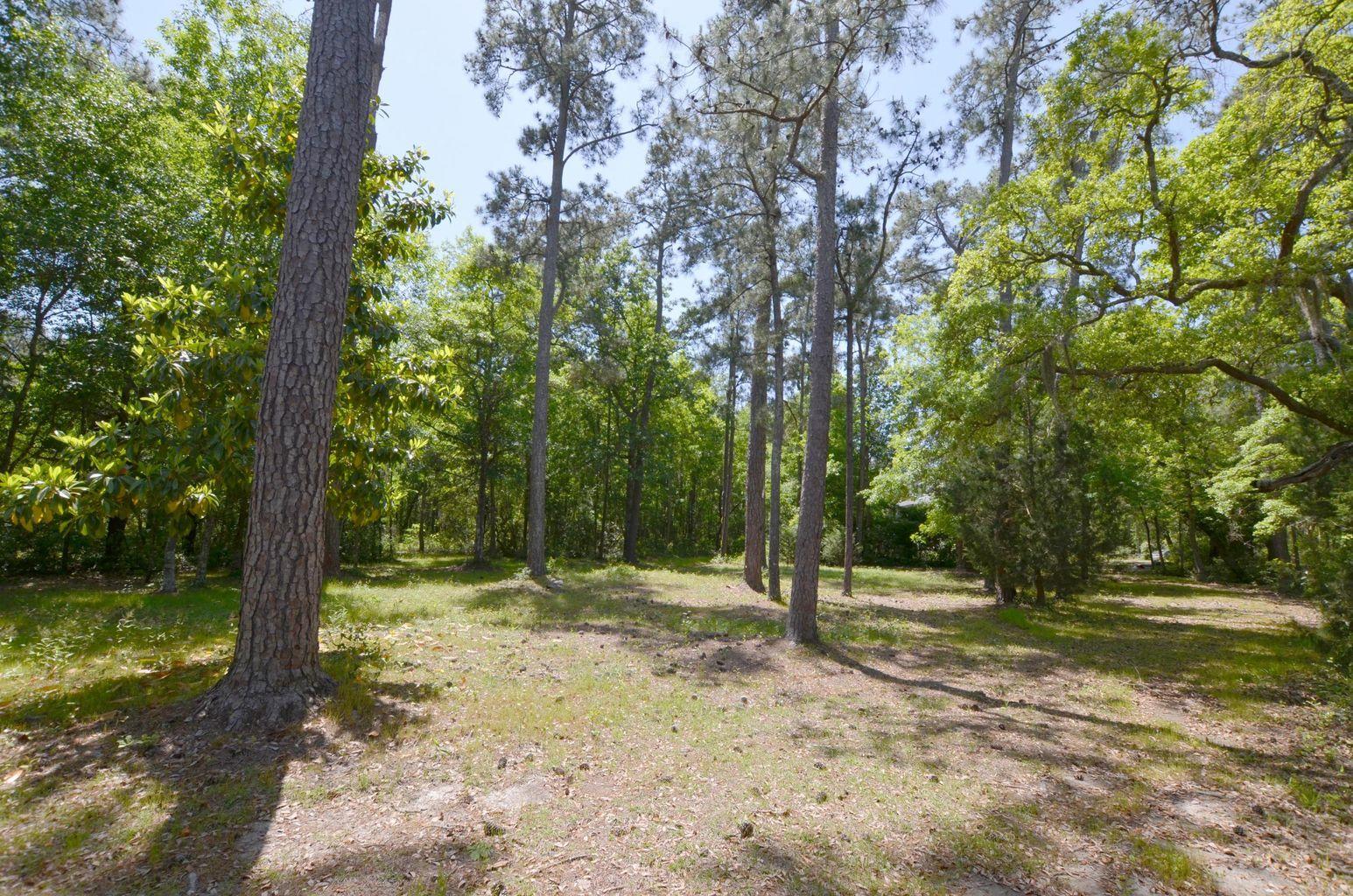 564 Romain Road McClellanville, SC 29458 - Photo 8 of 17 9