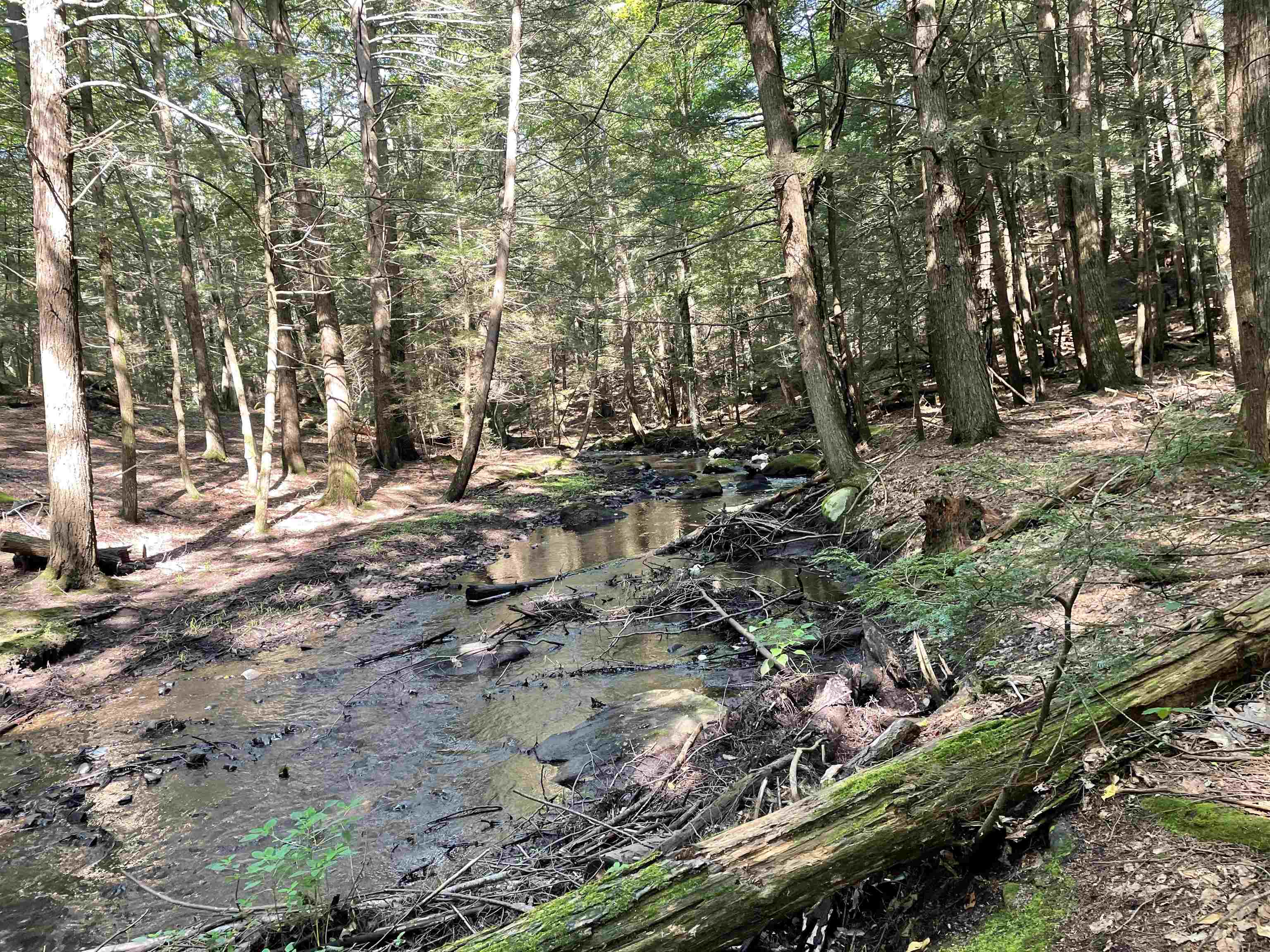 46 Fremont Road Chester, NH 03036 - Photo 35 of 37