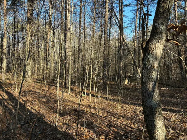 $55,000 | 3 Timber Ridge Drive, South Pittsburg, TN 37380