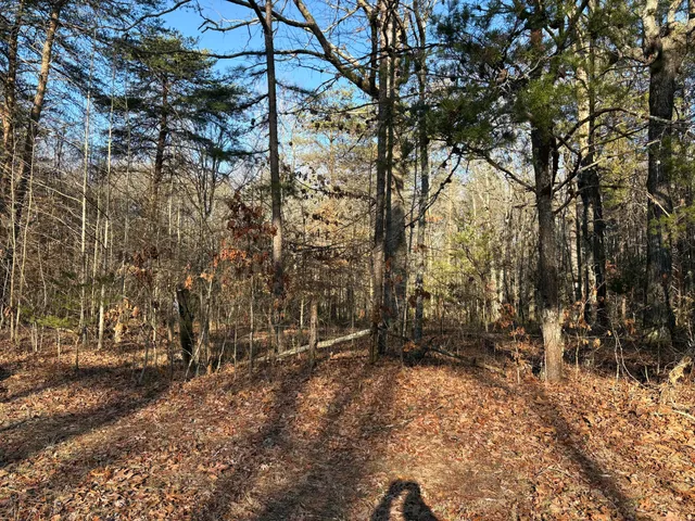 $55,000 | 3 Timber Ridge Drive, South Pittsburg, TN 37380