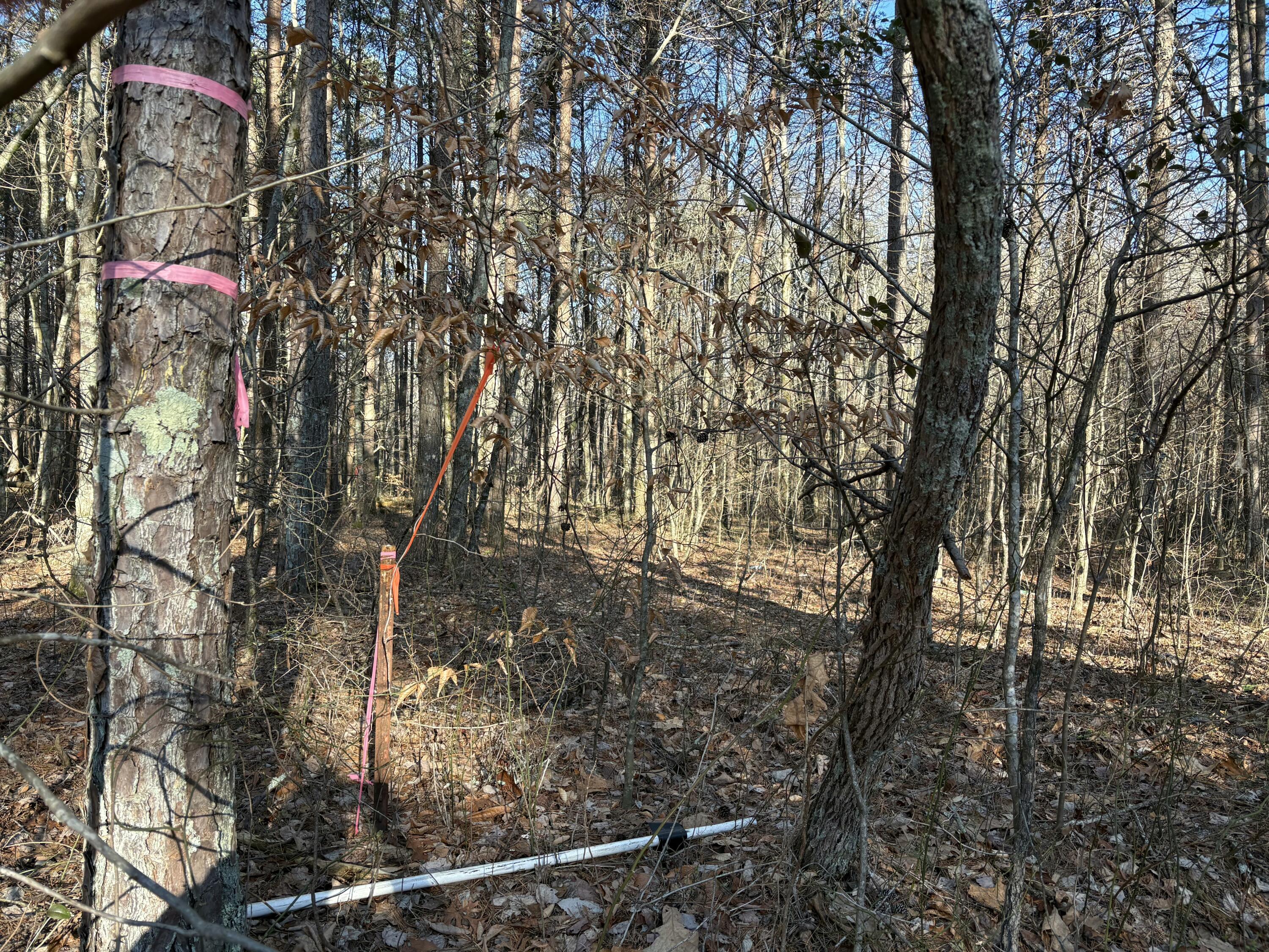 3 Timber Ridge Drive South Pittsburg, TN 37380 - Photo 3 of 5 IMG_0493.HEIC