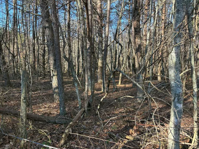 $55,000 | 3 Timber Ridge Drive, South Pittsburg, TN 37380