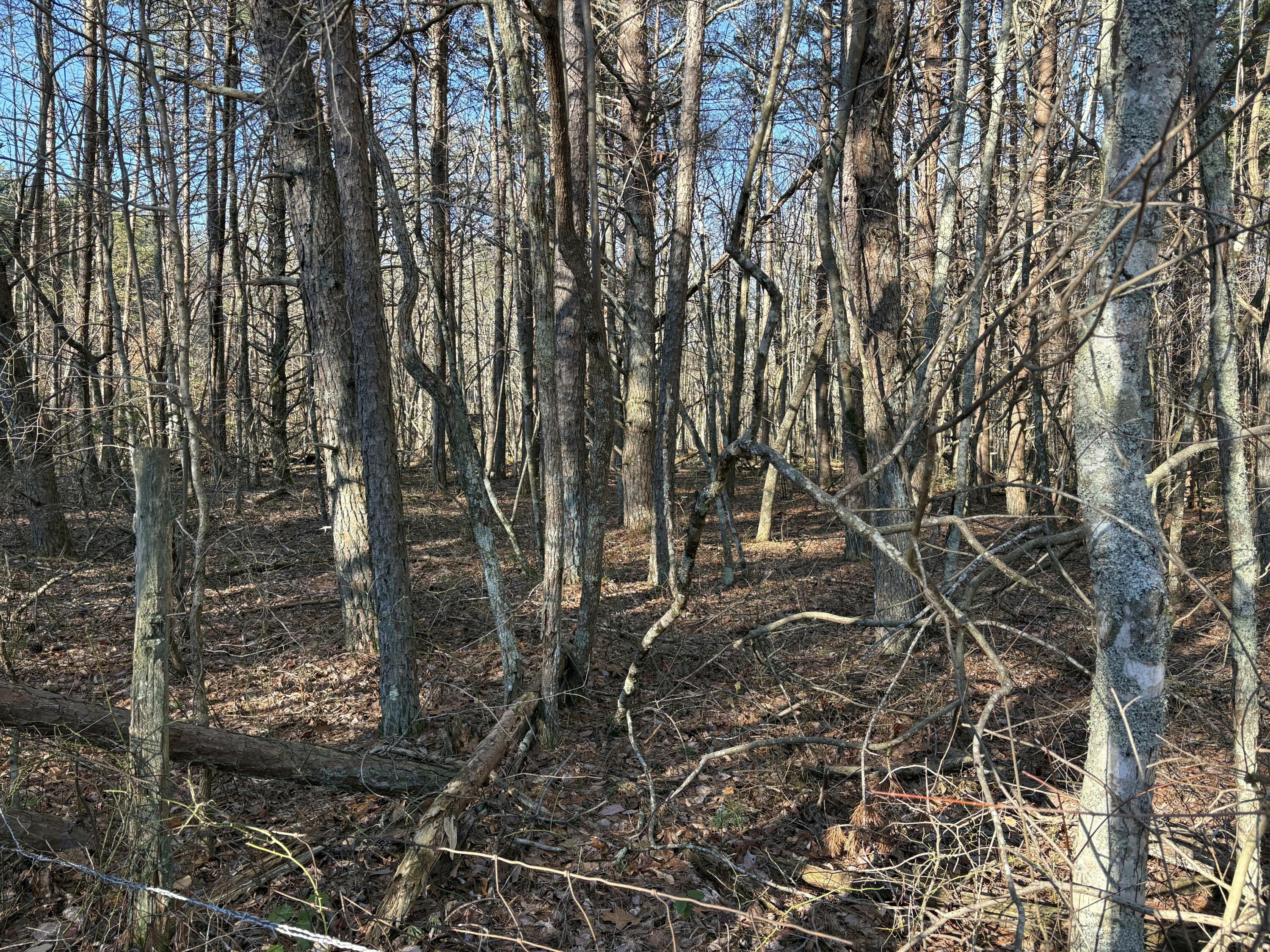 3 Timber Ridge Drive South Pittsburg, TN 37380 - Photo 5 of 5 IMG_0496.HEIC