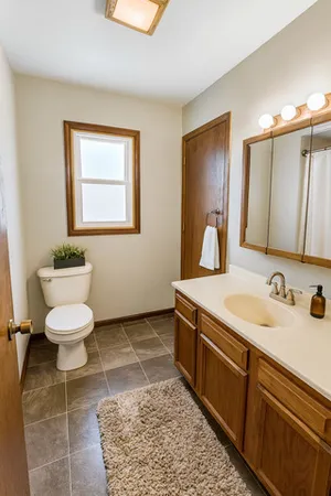 a bathroom with a sink a toilet and mirror